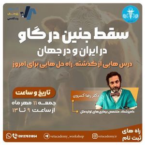سقط جنین در گاو در ایران و جهان   